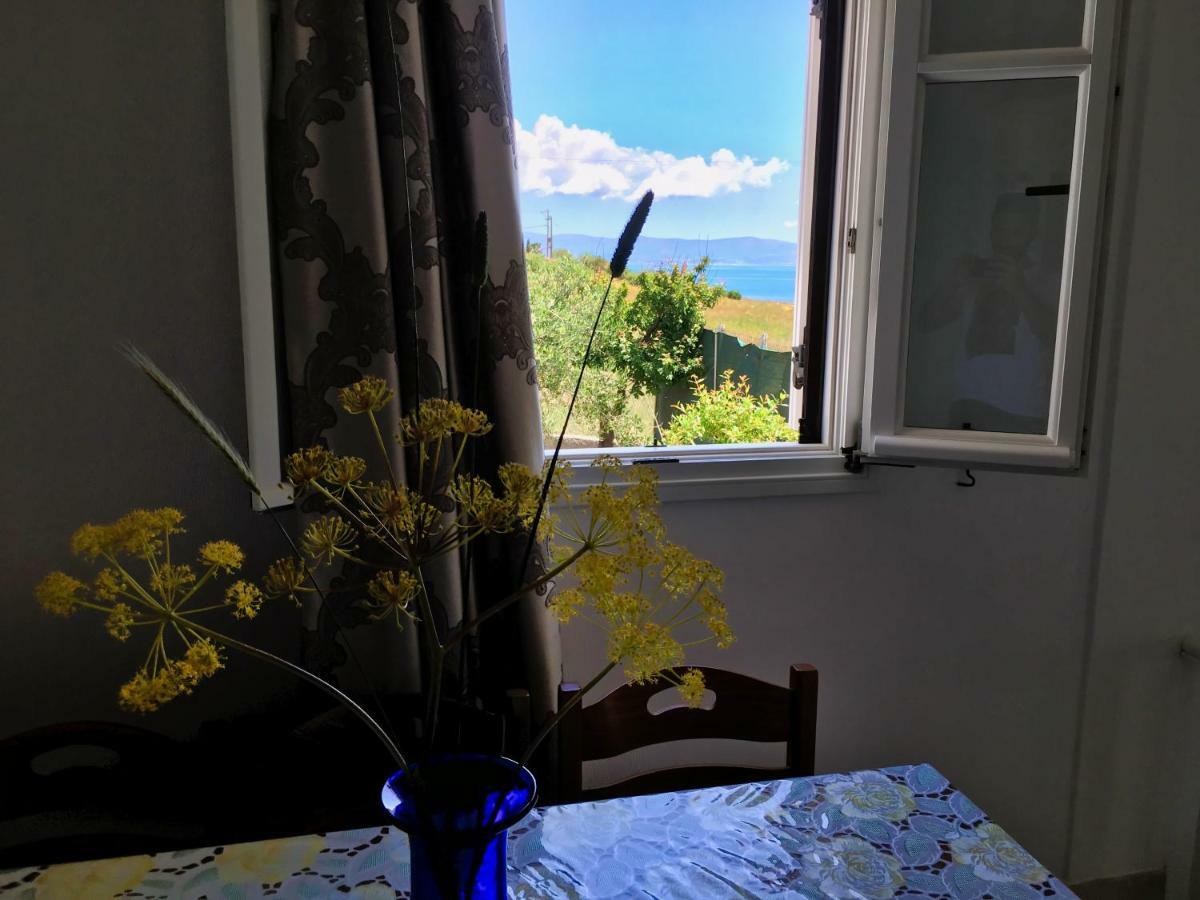 Anthoula'S Sea View Apartment Piso Livadi Buitenkant foto