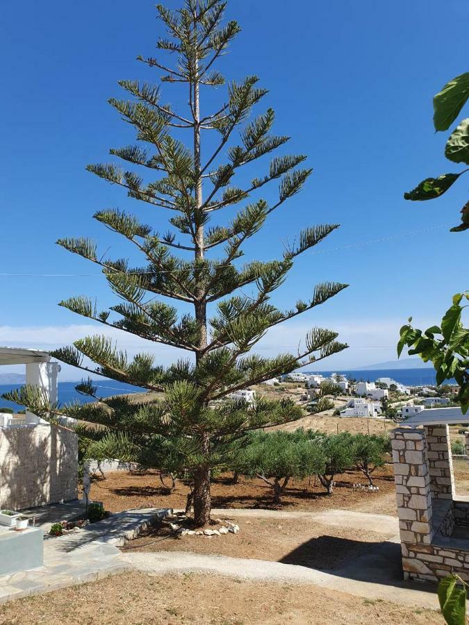 Anthoula'S Sea View Apartment Piso Livadi Buitenkant foto