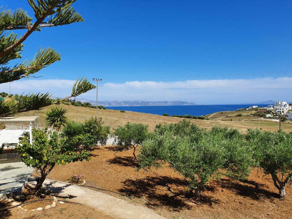 Anthoula'S Sea View Apartment Piso Livadi Buitenkant foto