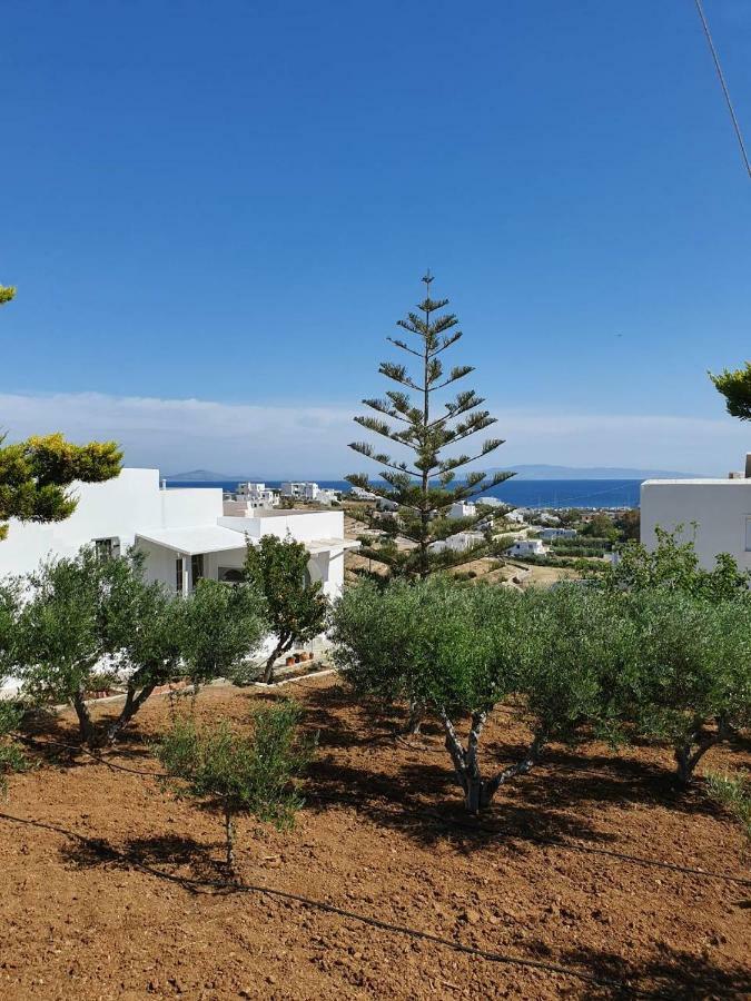 Anthoula'S Sea View Apartment Piso Livadi Buitenkant foto