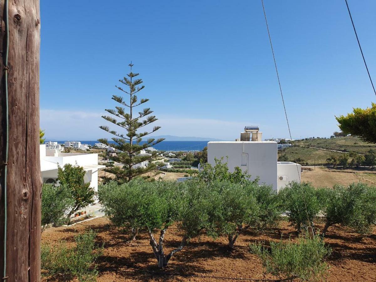 Anthoula'S Sea View Apartment Piso Livadi Buitenkant foto