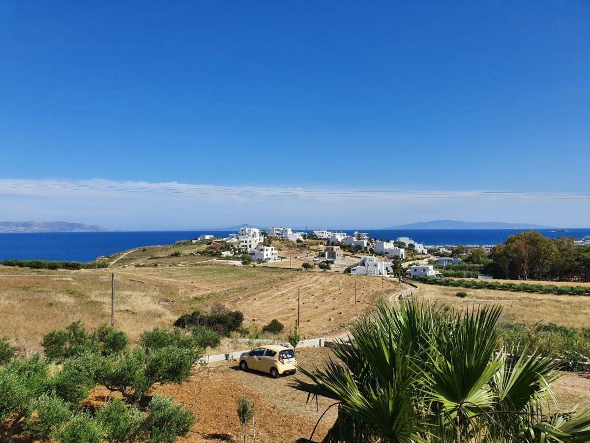 Anthoula'S Sea View Apartment Piso Livadi Buitenkant foto